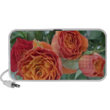 ddl orange de roses système de haut-parleurs