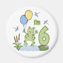 De 6de Verjaardag van Froggy Magneet