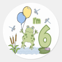 De 6de Verjaardag van Froggy Ronde Stickers