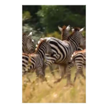 De Afrikaanse Gestreepte koele Gift van Hakuna Mat Briefpapier Papier