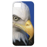 De Amerikaanse Kale Vogel van Eagle iPhone 5 Case-Mate Hoesje