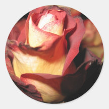 De antiquiteit nam Sticker toe