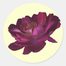 De antiquiteit nam toe stickers