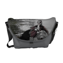 de beurs van de eendveer courier bag