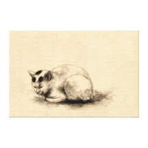 De binnenlandse Druk van het Canvas van de Kat Jap Canvas Prints