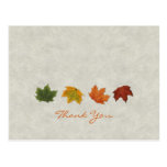De Bladeren van de herfst danken u briefkaart Wenskaart