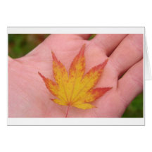De bladeren van de herfst op hand kaart