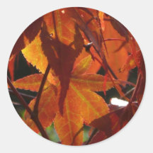 De Bladeren van de herfst Ronde Stickers