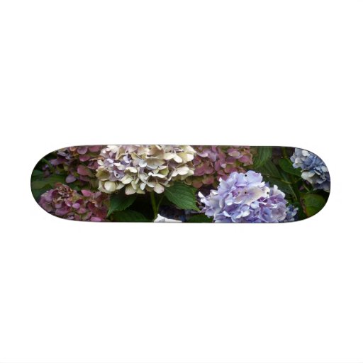 De Blauwe Hydrangea hortensia's van de paarse Lave Skate Decks
