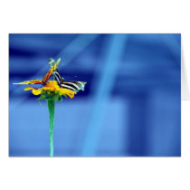 De Blauwe Kaart van de Bloem van de vlinder kaarten