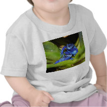 De blauwe Kikkers van het Pijltje van het Vergift  Tshirts