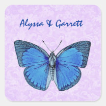 De blauwe Vintage Sticker van de Vlinder