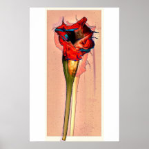 De Bloem van de hartstocht #1 Plaat