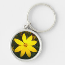 De Bloem van de winter Sleutel Hangers