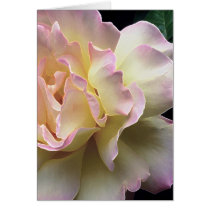 De bloemen Kaart van Pastelkleuren kaarten