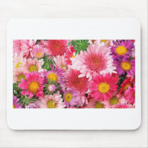 DE BLOEMEN VAN DE ZOMER MUIS MATTEN