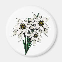 De Bloemen van het edelweiss Koelkast Magneetje