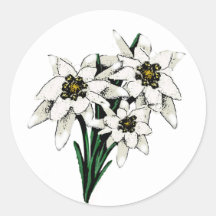 De Bloemen van het edelweiss Sticker