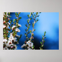 De Bloesems van de herfst Print