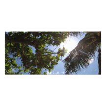 De Bomen van de zomer Reclamekaart