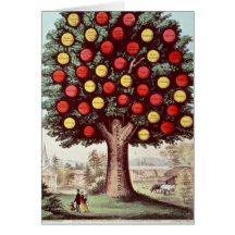 De boom van Matiging, 1872 Kaarten