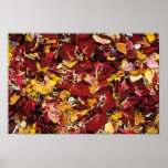 De bruine Droge bloemen van bloembloemblaadjes Poster
