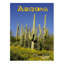 De cactussen van Saguaro en gele wildflowers, Ariz Wens Kaart