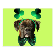 ` de carte postale de boxeur du jour de St Patrick