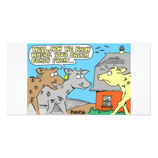 DE CARTOON VAN DE HUMOR VAN DE KOE/VAN DE ZURE ROO FOTO KAART