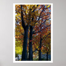 De Delicatesse van de herfst Plaat