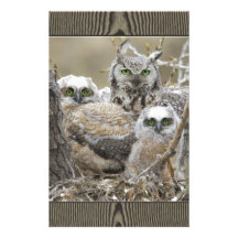 De Dieren van de Vogels van de Natuur van de Famil Briefpapier Papier