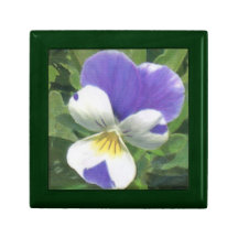 De Doos van de Gift van de altviool Decoratie Doosjes
