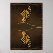 De Druk van de monarch Posters