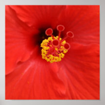 De Druk van het Canvas van de hibiscus Plaat