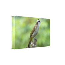 De Druk van het Canvas van de vogel Canvas Afdrukken