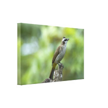 De Druk van het Canvas van de vogel (2) Stretched Canvas Afdruk