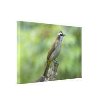 De Druk van het Canvas van de vogel Canvas Prints