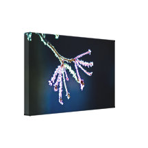 De eerste Vorst Uitgerekte Druk van het Canvas Stretched Canvas Prints