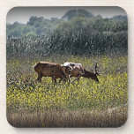 De Elanden van de Stier van Tule Onderzetter
