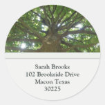De Etiketten van het Adres van de boom Ronde Stickers