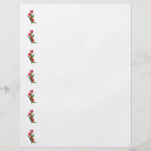 De Familie van de tulp Folders