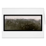 De Foto 1906 van de Reeks van Sox van welpen Kaarten