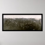 De Foto 1906 van de Reeks van Sox van welpen Print