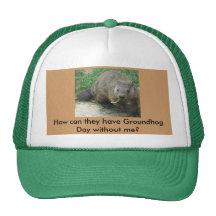 De Foto van Groundhog Petten