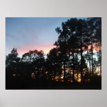 De Fotografie van WolfeN Poster