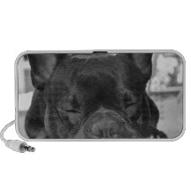 De Franse Sprekers van de Buldog Mp3 Speakers