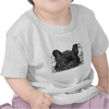 De Franse T-shirt van het Baby van de Buldog