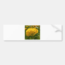 De Gele Schoonheid van naturen Bumperstickers