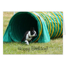 De gelukkige Kaart van Boston Terrier van de Behen