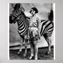 De getatoe?ërde Dame en het Zebra van het Circus Plaat